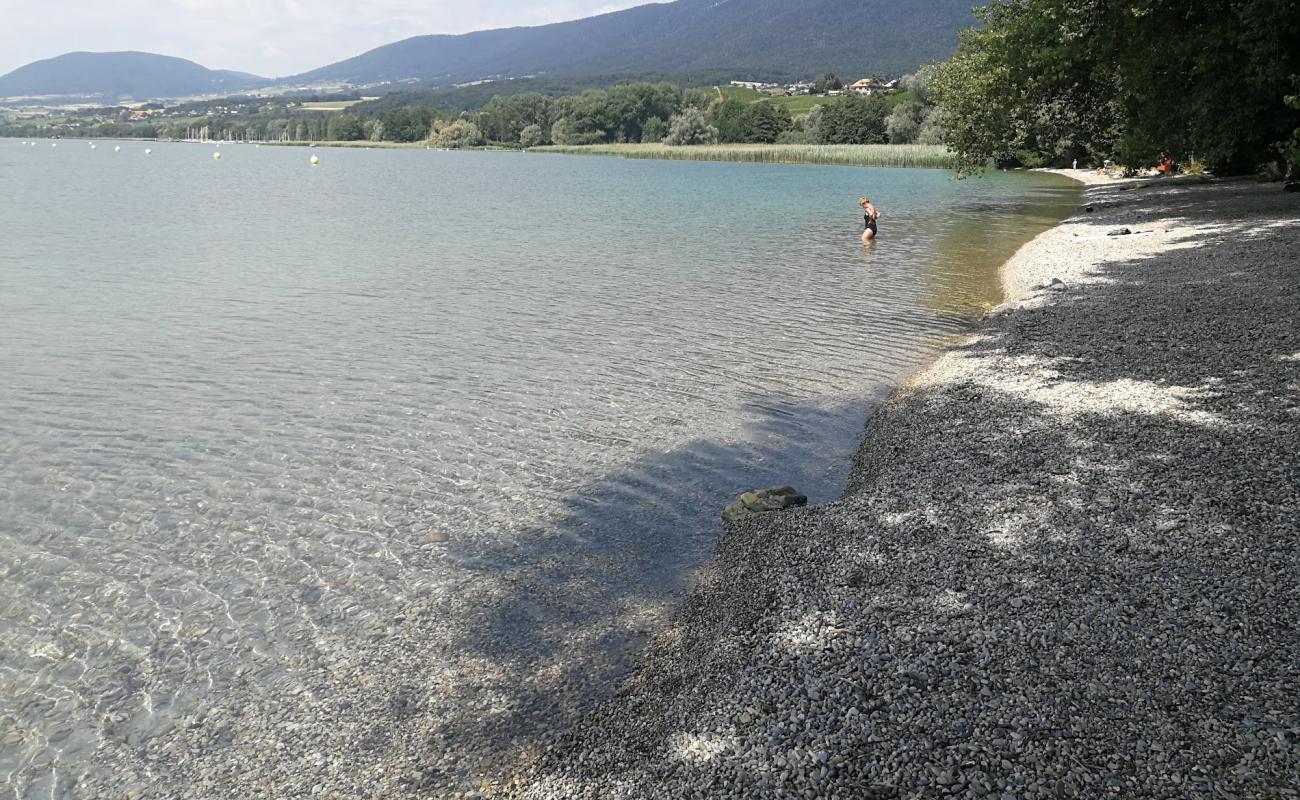 Foto af Plage de la Pointe du Grain med grå fin sten overflade