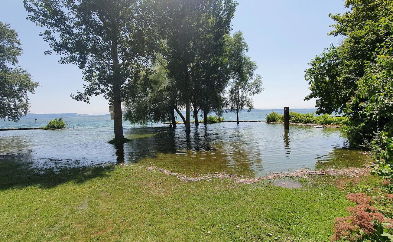 Foto af Plage de Monruz med grå sten overflade