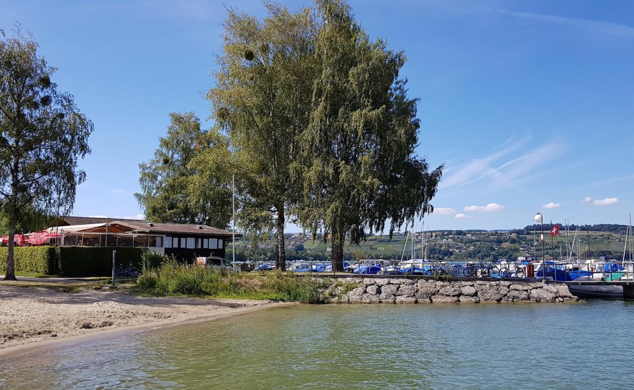 Foto af Camping-Port-Plage Avenches med græs overflade