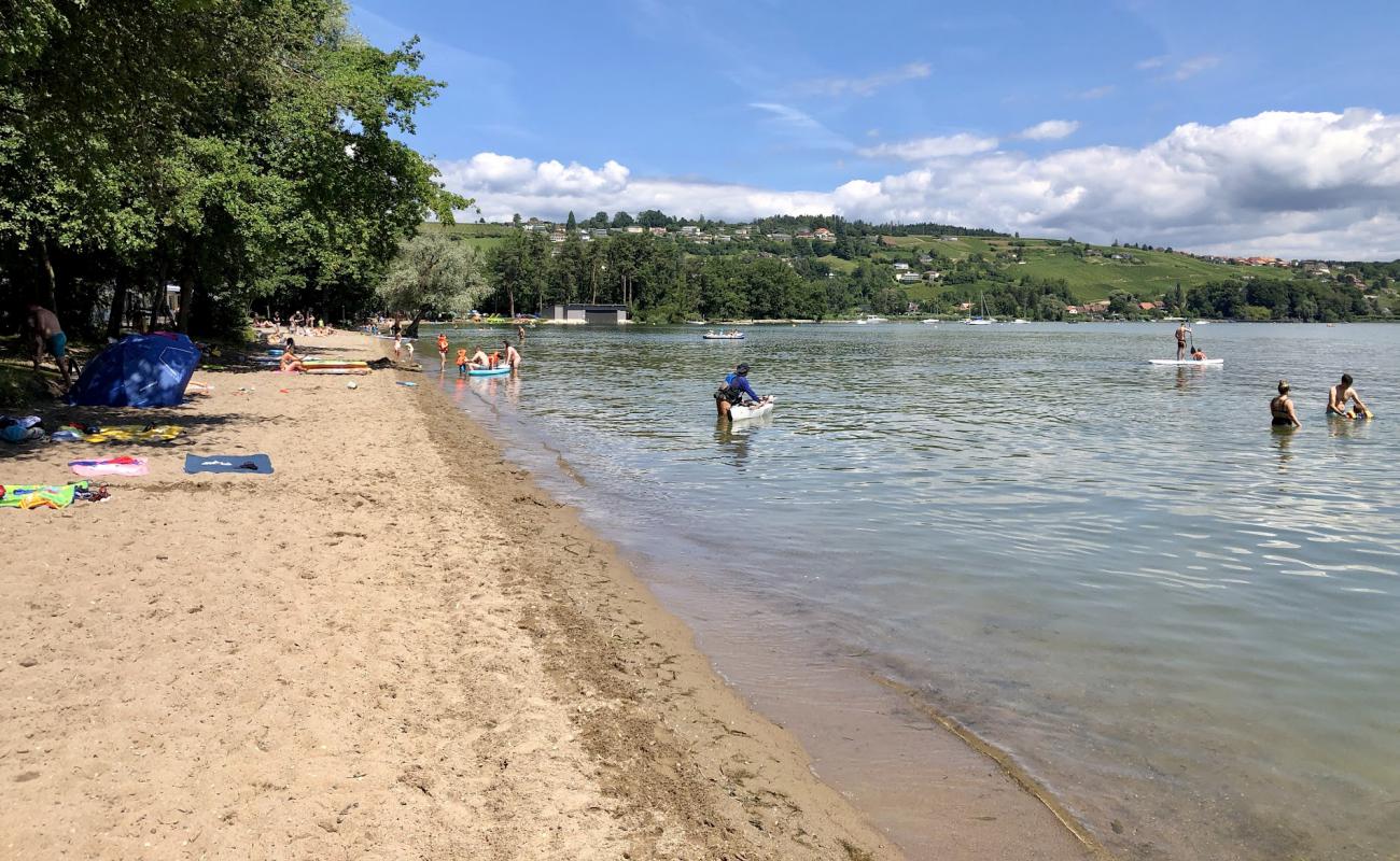 Foto af Plage Salavaux med lys sand overflade