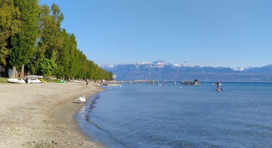 Plage de Preverenges