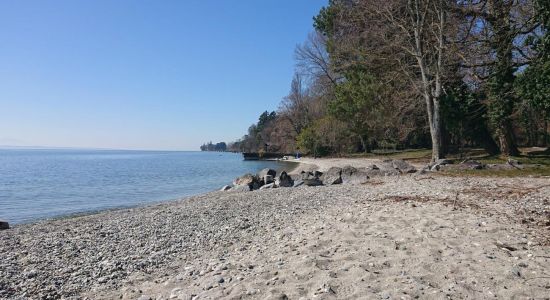 Plage Buchillon