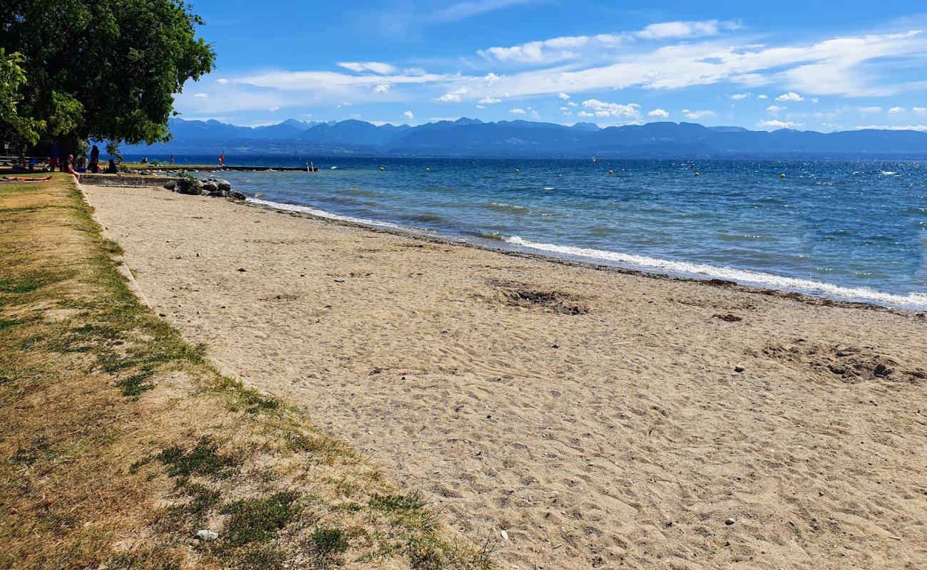 Foto af Plage de Rolle med lys sand overflade