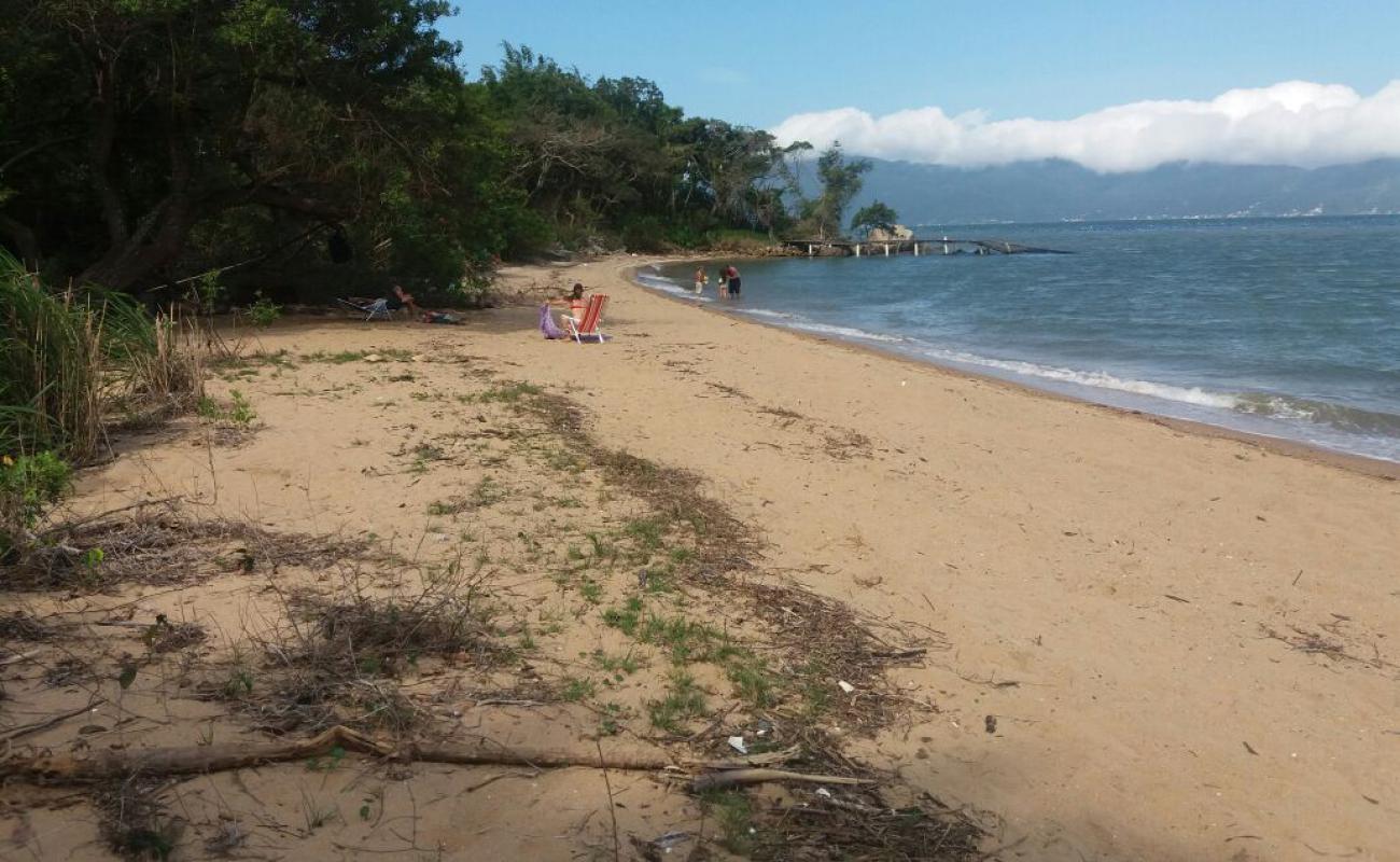 Foto af Praia do Cedro med lys sand overflade