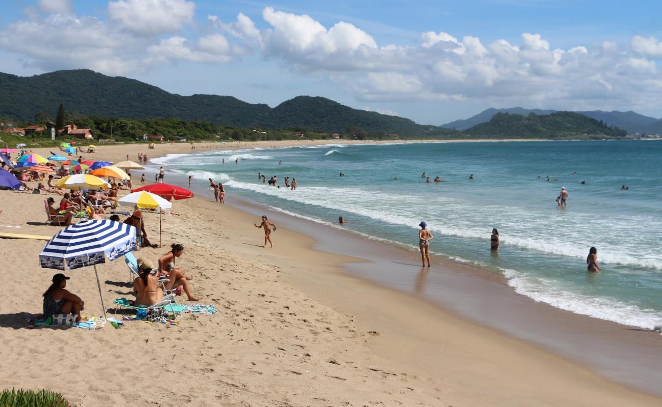 Foto af Armação Strand med lys fint sand overflade