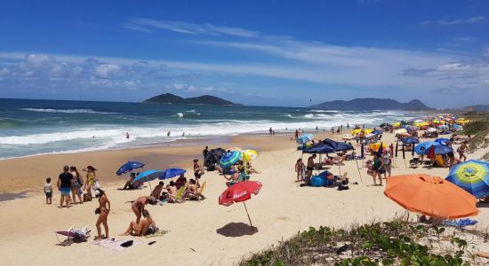 Praia do Campeche