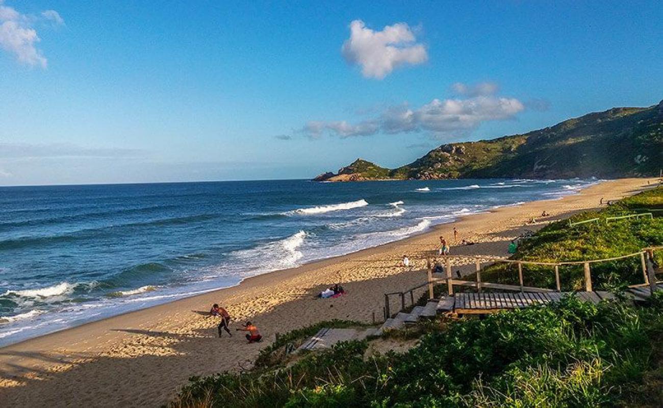 Foto af Praia Mole med lys fint sand overflade