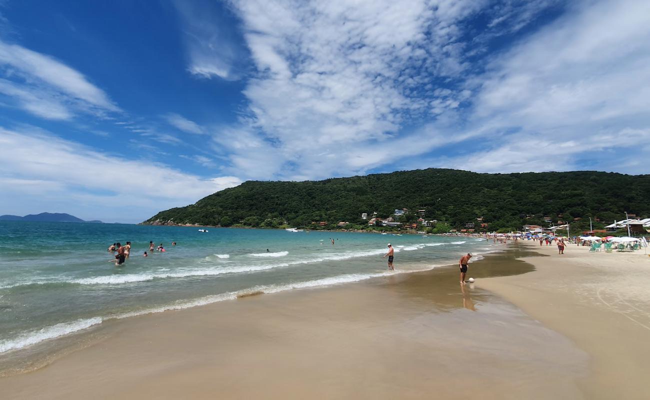 Foto af Ponta das Canas Strand med lys fint sand overflade