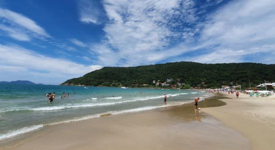 Ponta das Canas Strand