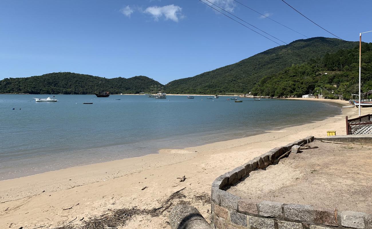 Foto af Dolphin Bay Strand med lys sand overflade