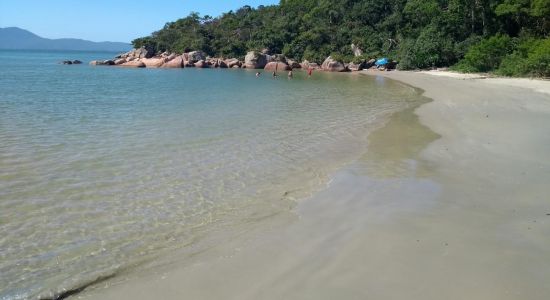 Prainha de Ganchos de Fora