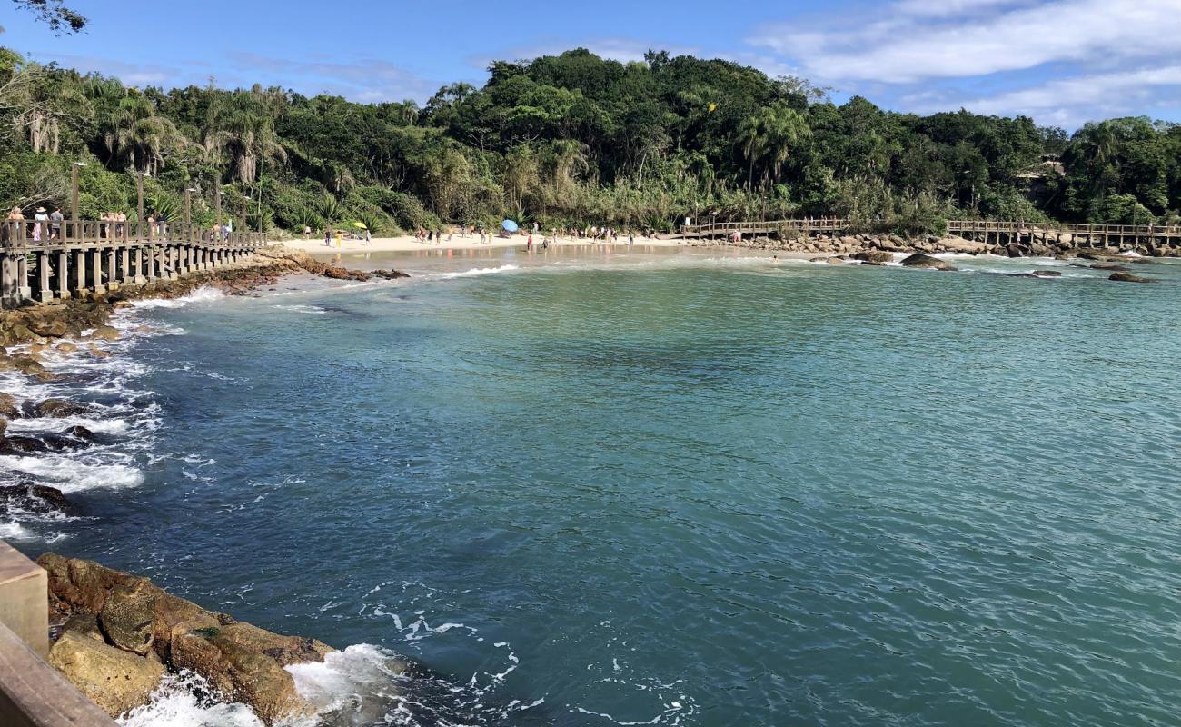 Foto af Praia do Ribeiro med lys sand overflade