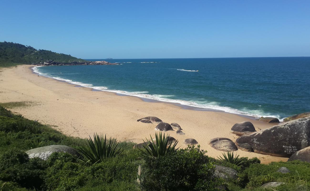 Foto af Praia de Taquarinhas bakket op af klipperne