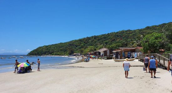 Encantadas Strand