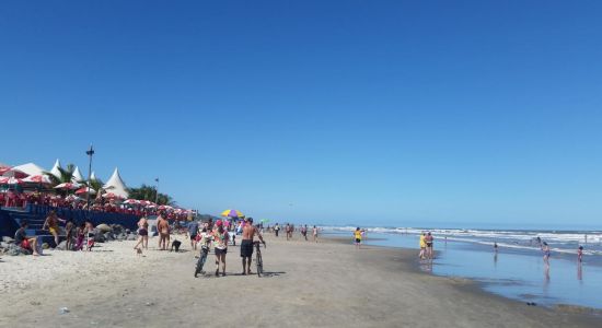 Agenor de Campos Strand