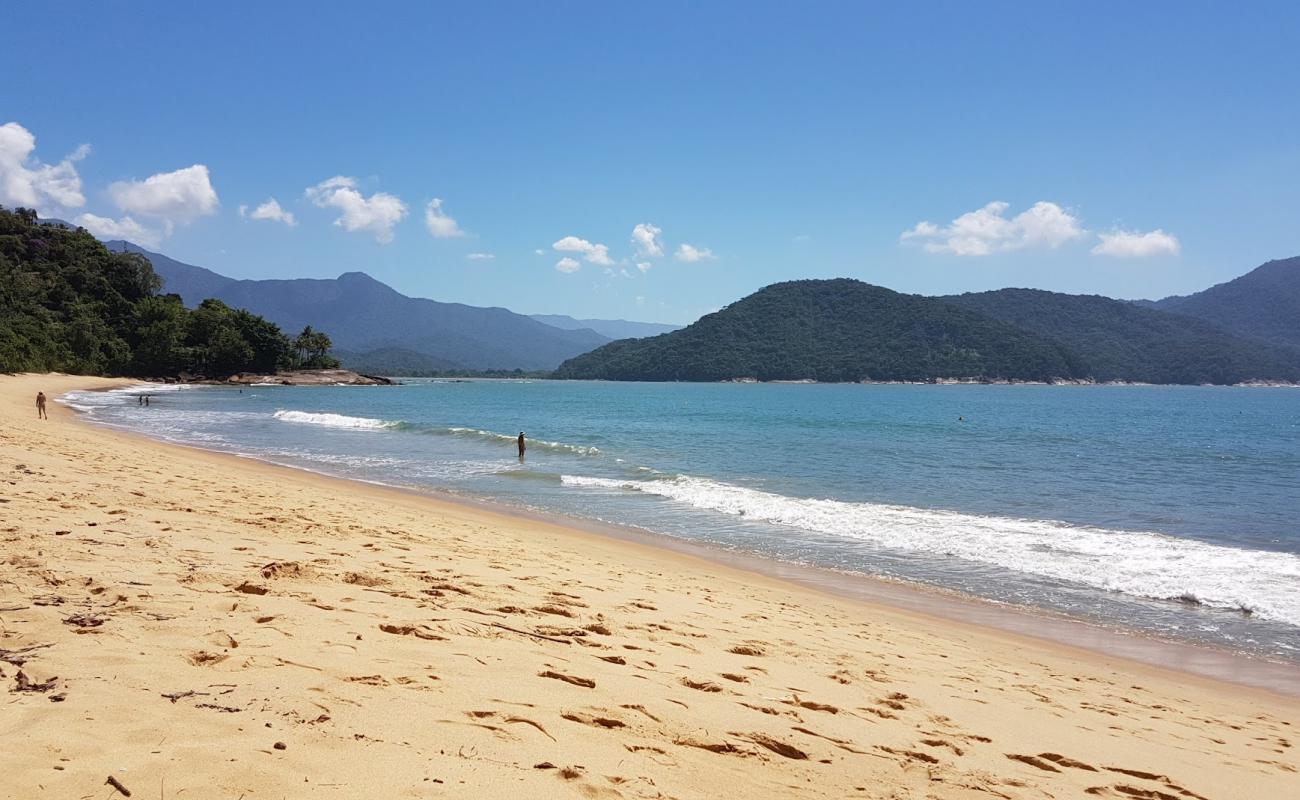 Foto af Praia Brava do Sul med lys sand overflade