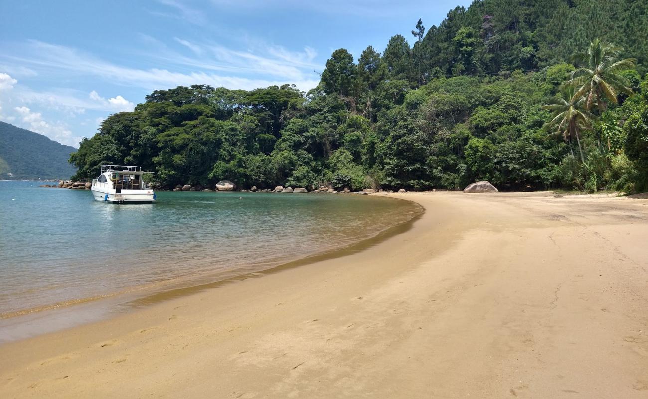 Foto af Praia da Ribeira med lys sand overflade