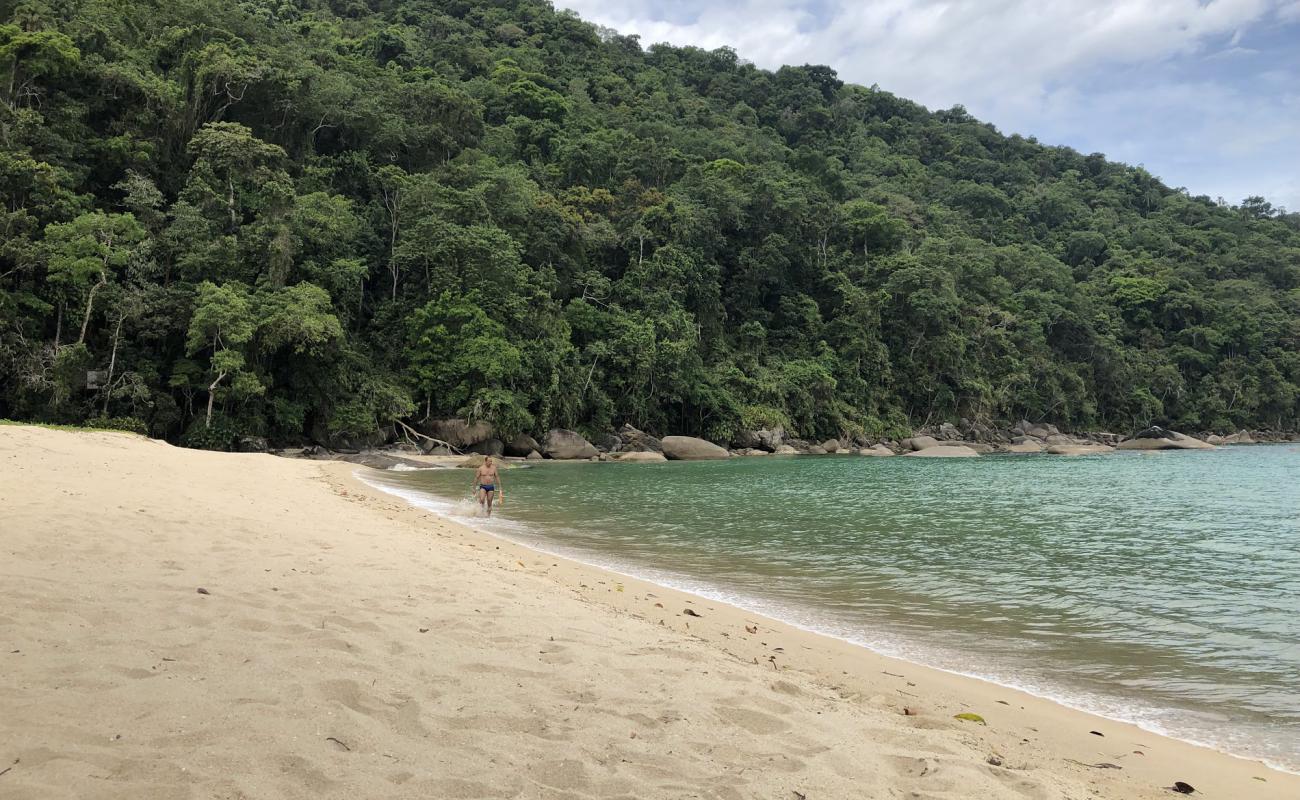 Foto af Vermelha Strand med lys sand overflade