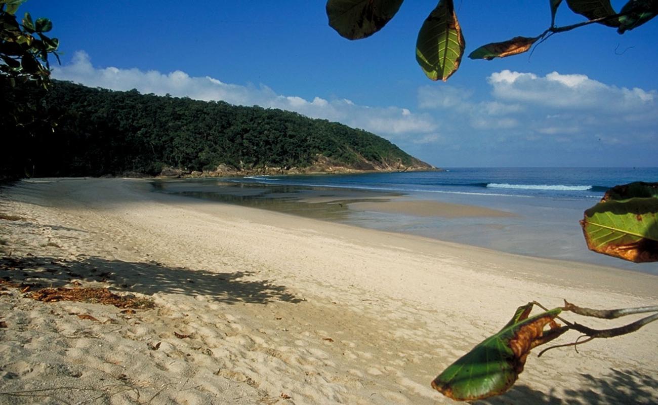 Foto af Martim de Sa med lys sand overflade