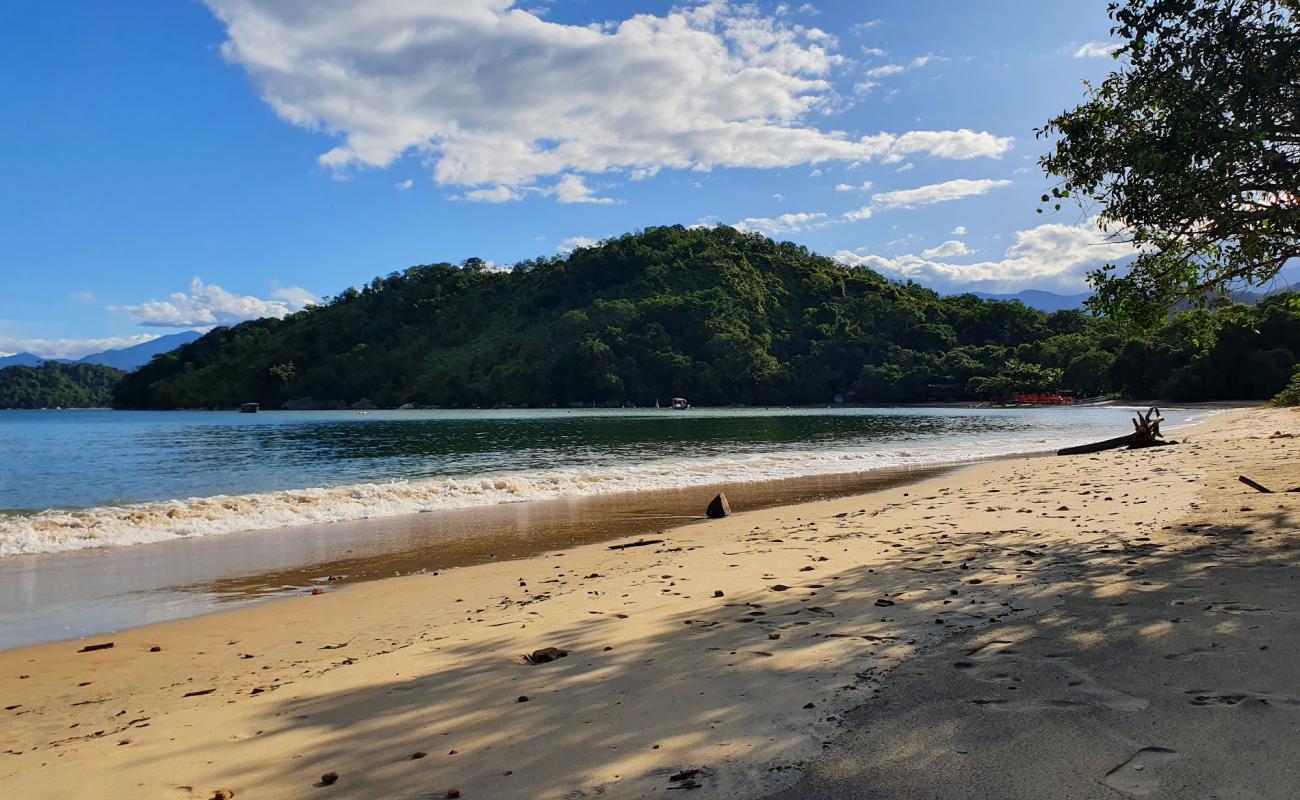 Foto af Sao Goncalinho Strand med lys sand overflade