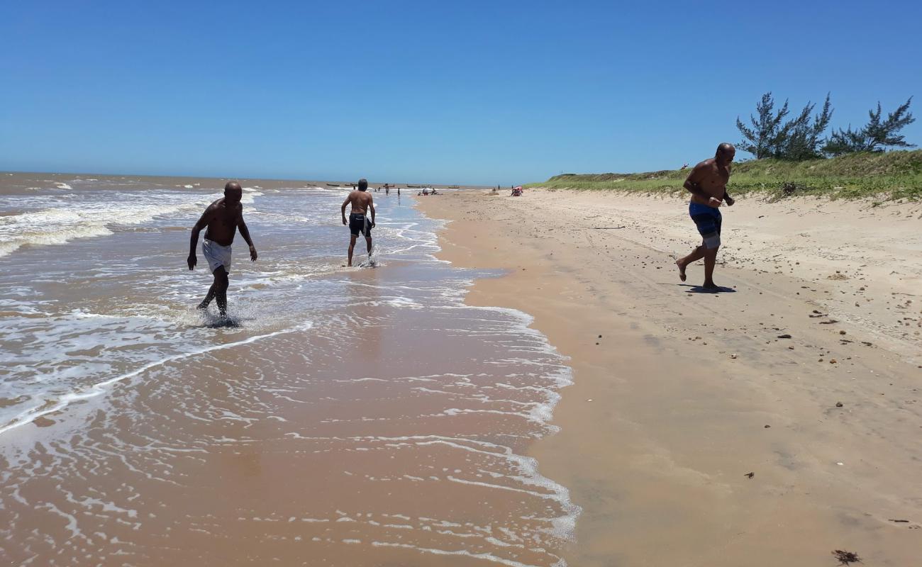 Foto af Samambaia Strand med lys sand overflade