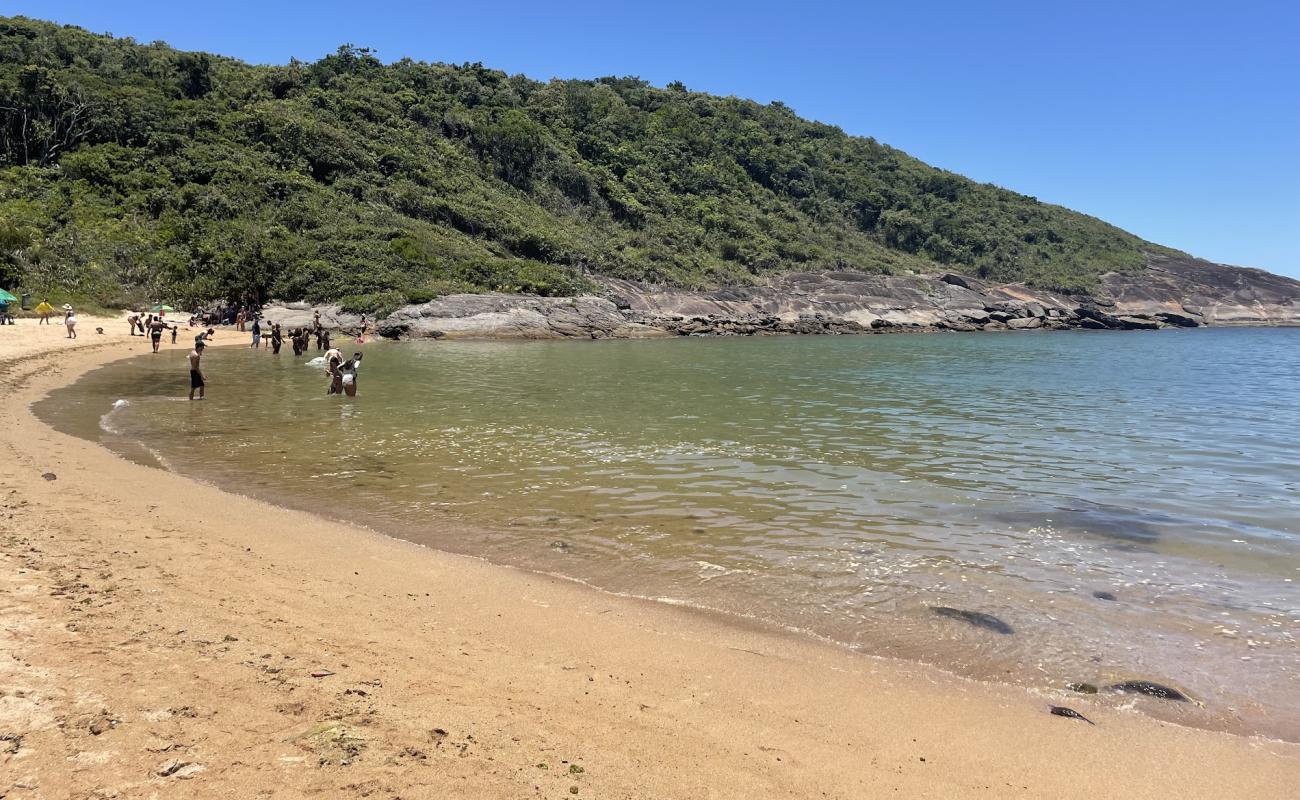 Foto af Hermit strand med lys sand overflade