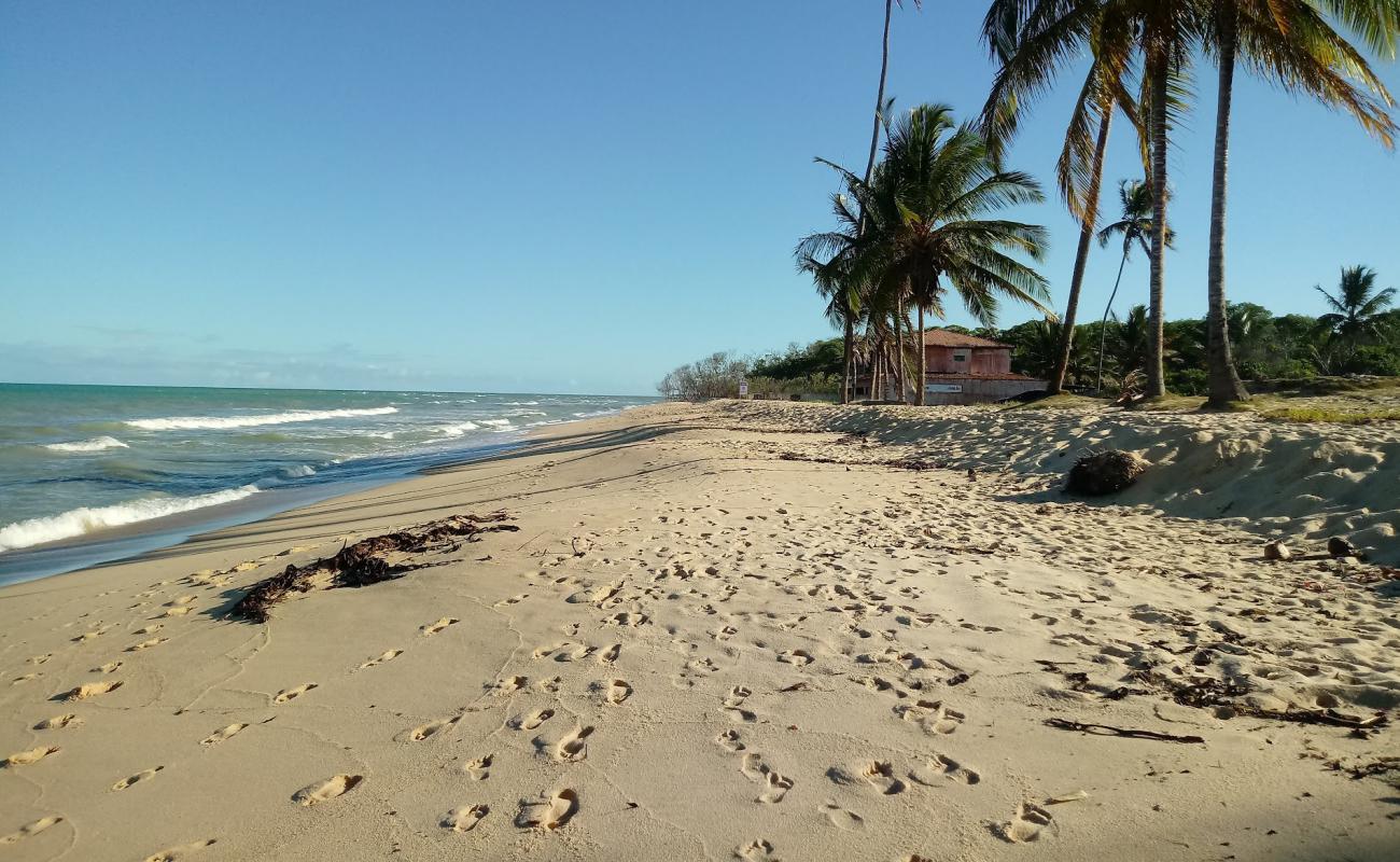 Foto af Kokosnød Strand med lys fint sand overflade