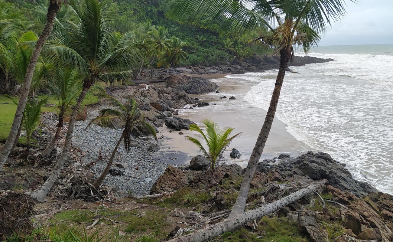 Foto af Praia do Segredo ou de Palva med gråt sand og sten overflade