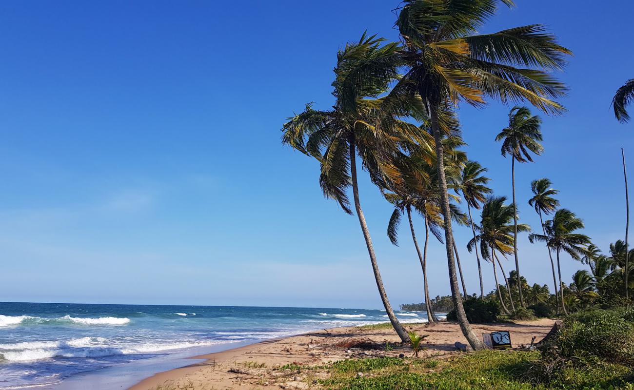 Foto af Praia de Bombasa med lys fint sand overflade