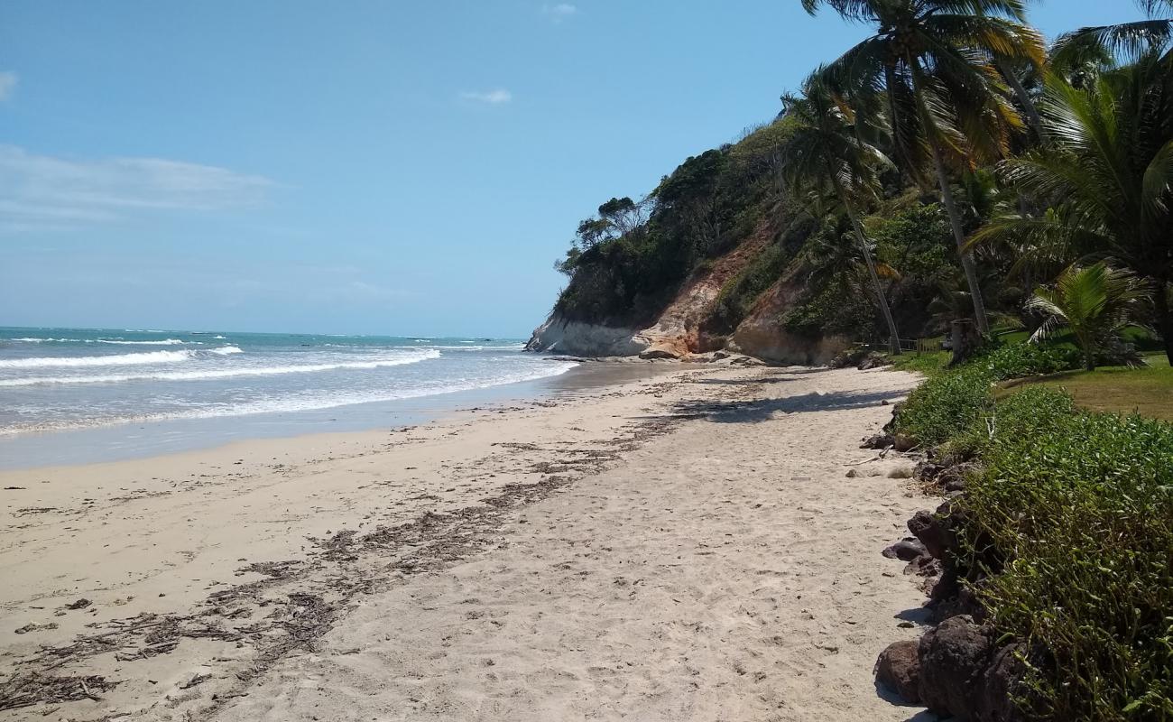 Foto af Praia Ponta da Gamela med lys sand overflade