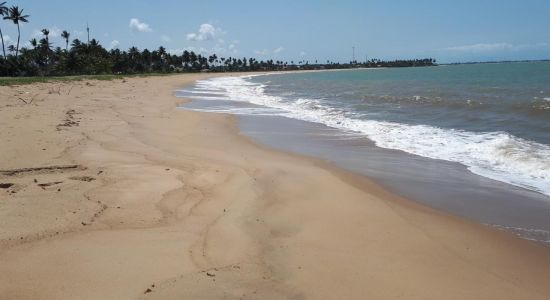 Praia de Toquinho