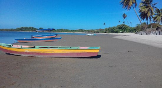 Strand Rio Mamanguape