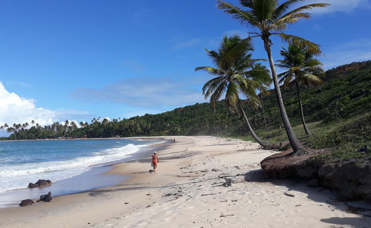 Foto af Nord Coqueirinho Strand med lys sand overflade