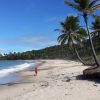 Nord Coqueirinho Strand