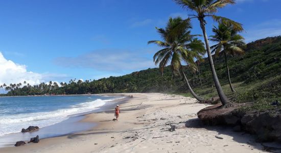 Nord Coqueirinho Strand