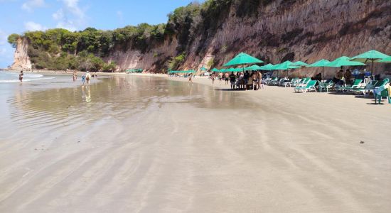 Stranden Baia dos Golfinhos Pipa