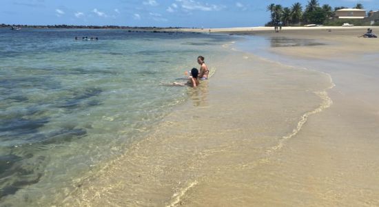 Skildpadde Strand