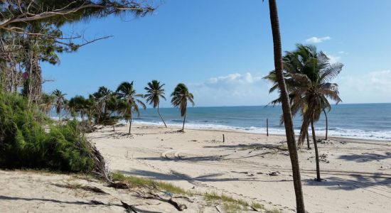 Stranden ved Pico das Almas