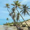 Praia do Jiqui em Caetanos