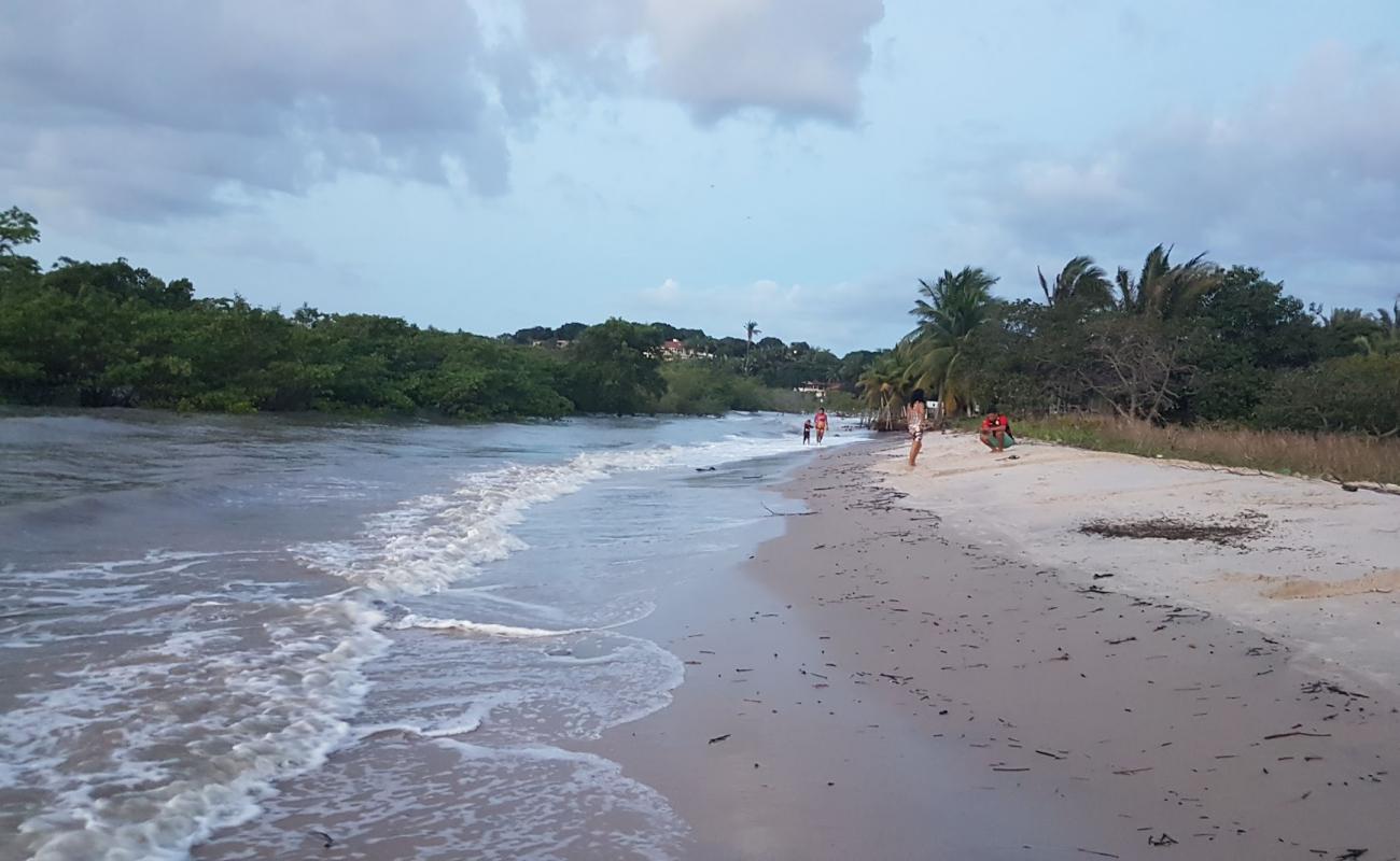 Foto af Praia da Guia med lys sand overflade