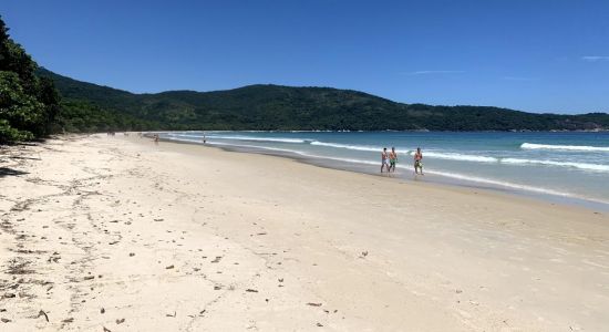 Lopes Mendes Strand