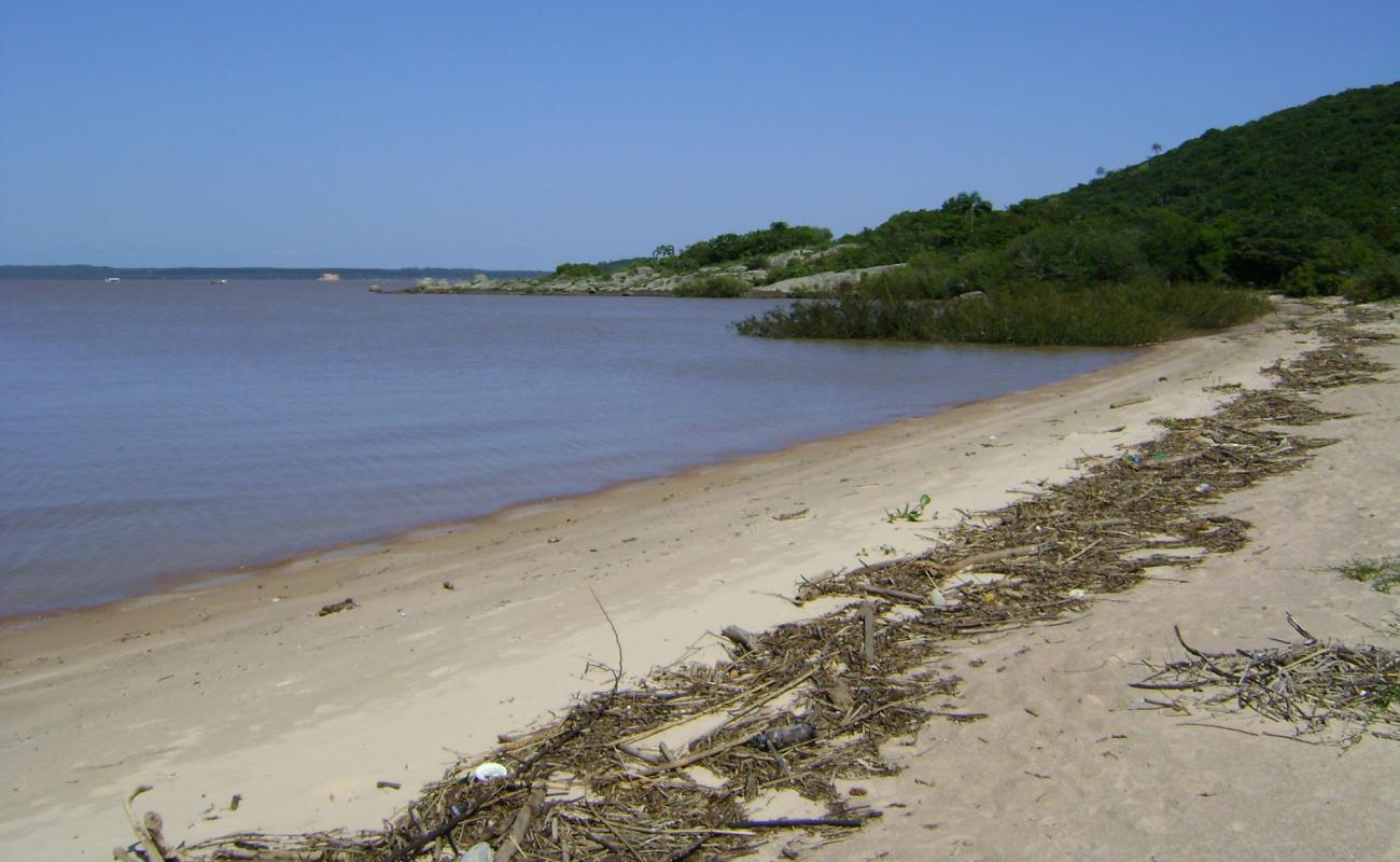 Foto af Praia da Pedreira med lys sand overflade