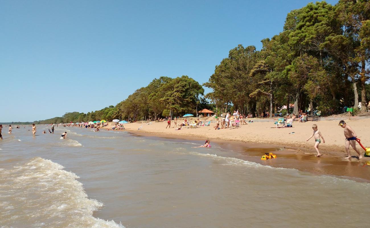 Foto af Arambare Beach med lys sand overflade