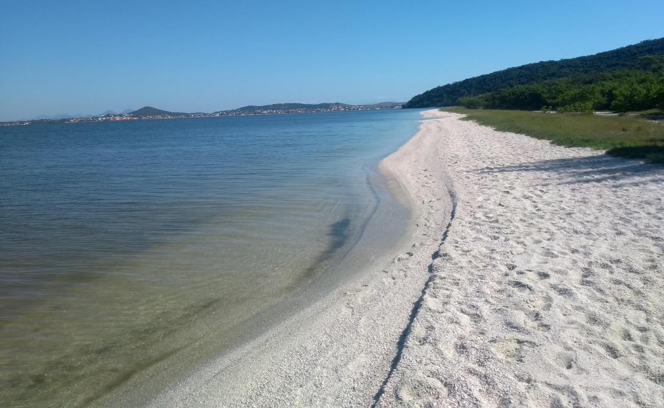 Foto af Ponta da Farinha med lys skaldesand overflade