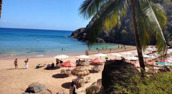 Praia do Cachorro