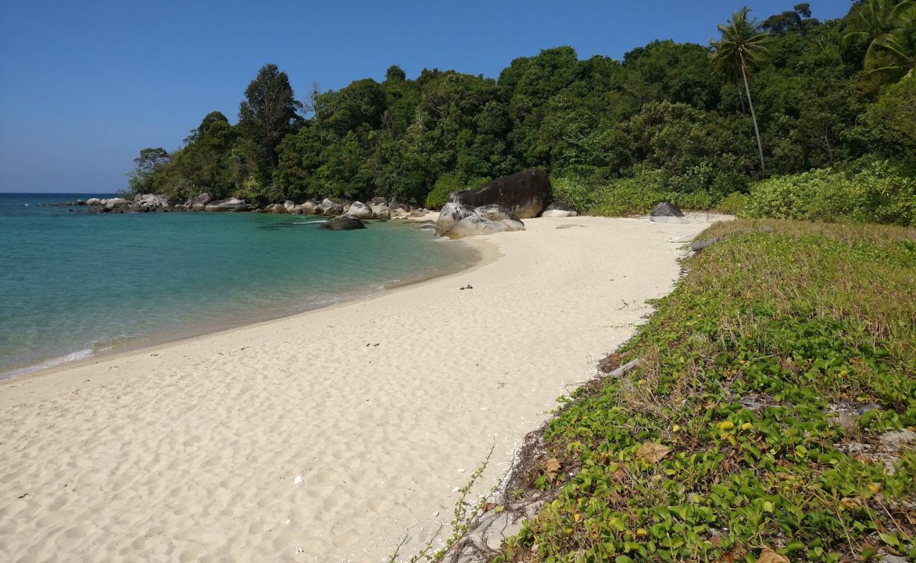 Foto af Koh Adang Resort Beach med lys fint sand overflade