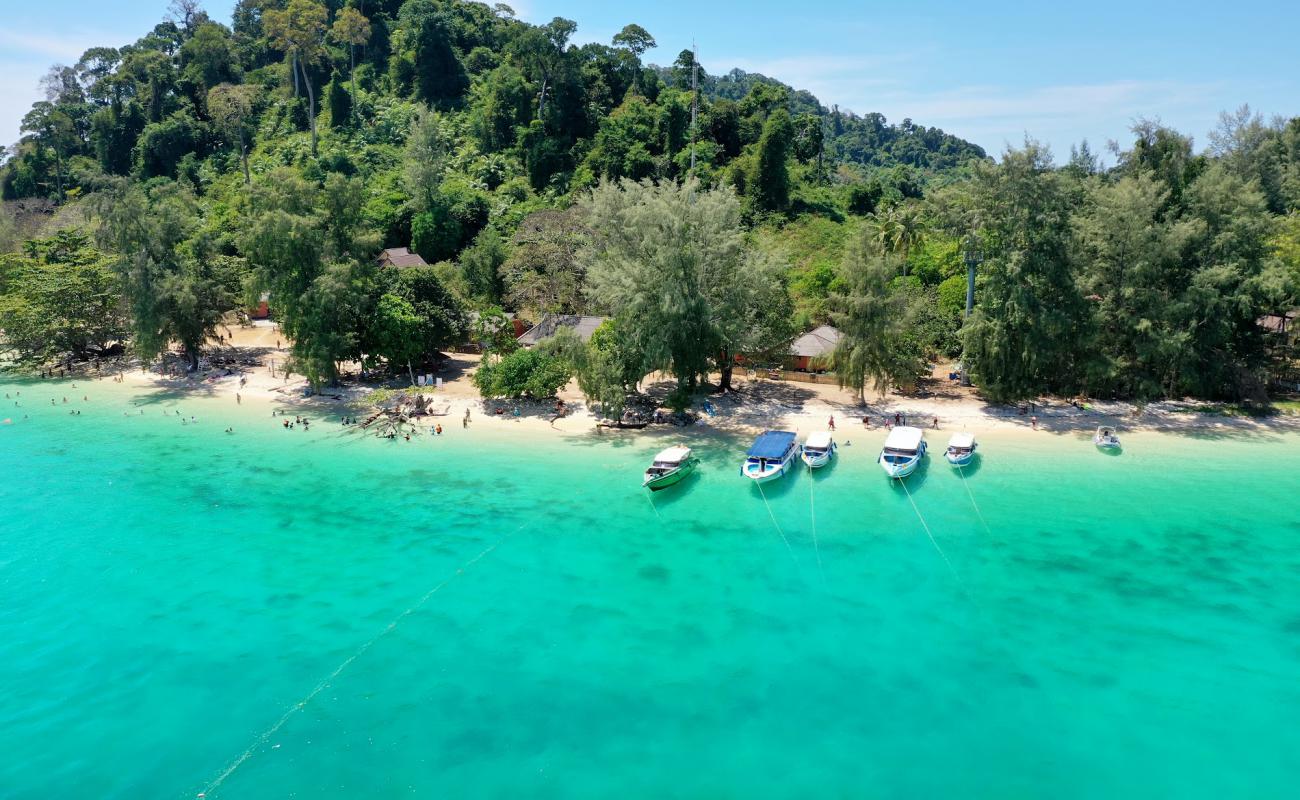 Foto af Koh Kradan Beach med hvidt sand overflade