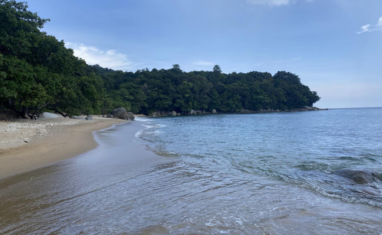 Foto af Natural Beach med lys sand overflade