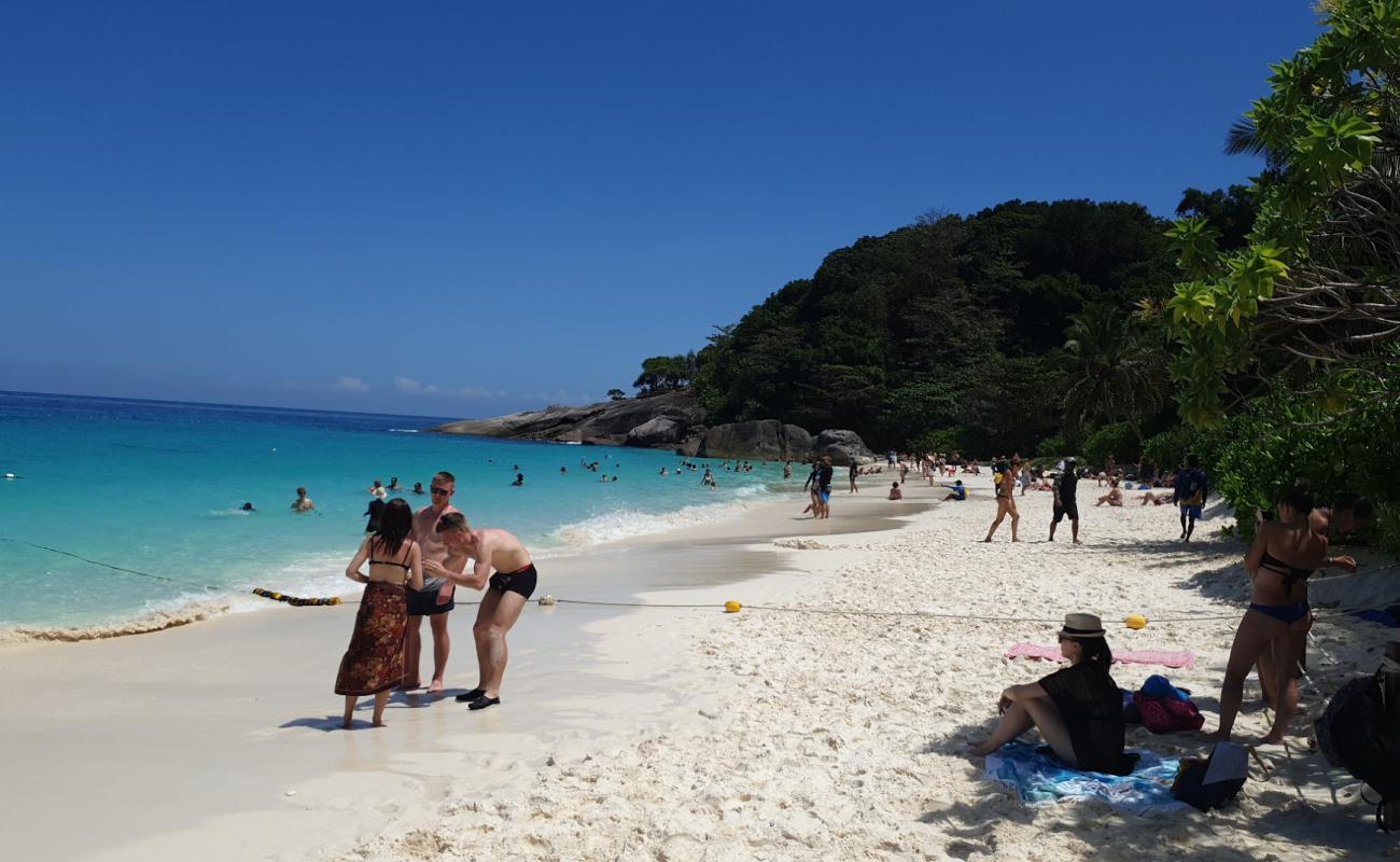 Foto af Koh Miang Strand med hvidt fint sand overflade