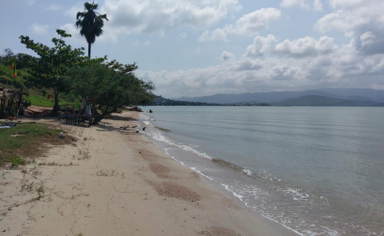 Foto af Reggae beach med lys sand overflade